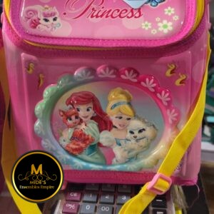 Lunch bag ( Collapsible)